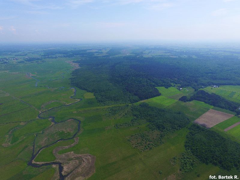 Film z drona rzeka Biebrza tratwy i kajaki