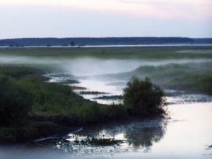 mgła nad Biebrzą