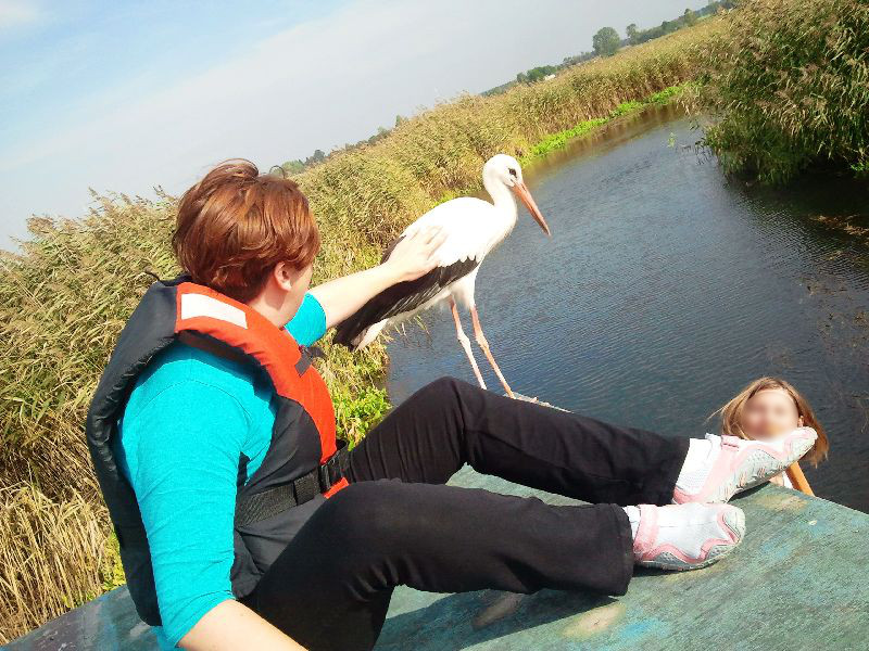 Bocian na spływie tratwą