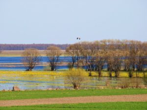Rozlewiska nad Biebrzą - Biebrzański Park Narodowy