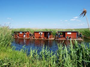 Spływy tratwami rzeką Biebrzą