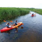 Weekendowe spływy po Biebrzy