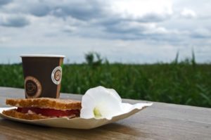 Czas w Dolinie Biebrzy - lato i poranna kawa na tratwie