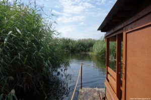 Huncwot na gigancie Spływ tratwą po Biebrzy