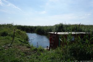 Przycumowana tratwa na Biebrzy