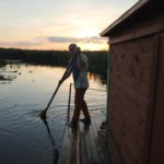 Spływ tratwą po Biebrzy - Lisy w drodze