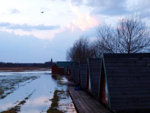 Łukasz Tulej w saunie nad Biebrzą