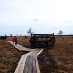 Ścieżka edukacyjna Szuszalewo – Nowy Lipsk z przeprawą promową przez rzekę Biebrzę