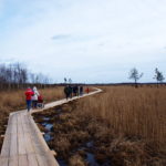 Ścieżka edukacyjna Szuszalewo – Nowy Lipsk z przeprawą promową przez rzekę Biebrzę