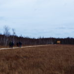 Ścieżka edukacyjna Szuszalewo – Nowy Lipsk z przeprawą promową przez rzekę Biebrzę