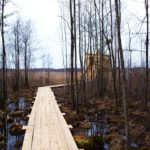 Ścieżka edukacyjna Szuszalewo – Nowy Lipsk z przeprawą promową przez rzekę Biebrzę