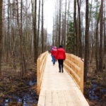 Ścieżka edukacyjna Szuszalewo – Nowy Lipsk z przeprawą promową przez rzekę Biebrzę