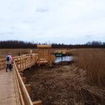 Ścieżka edukacyjna Szuszalewo – Nowy Lipsk z przeprawą promową przez rzekę Biebrzę